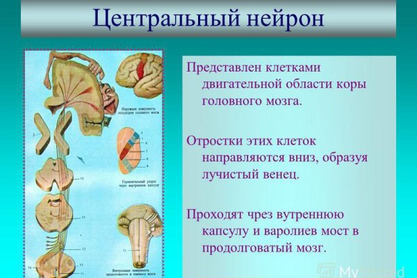 Как зайти на сайт blacksprut blackprut com