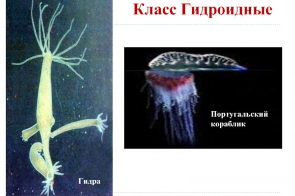 Слив аккаунтов hydra blacksprut omg