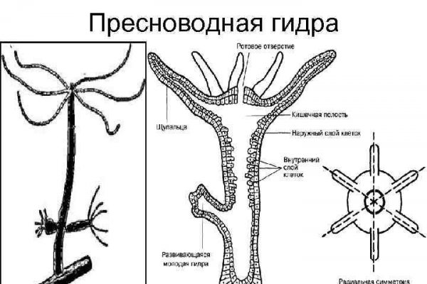 Рабочая ссылка на blacksprut bs2webes net