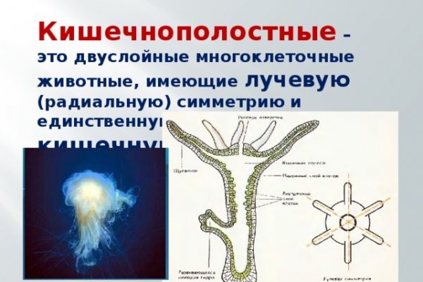 Блэк спрут тор blacksprut pl